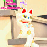 ヒメ日記 2026/03/15 08:42 投稿 ななお Happy Gang(ハッピーギャング)