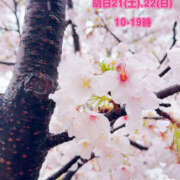 ヒメ日記 2026/03/20 17:55 投稿 ななお Happy Gang(ハッピーギャング)