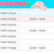 ヒメ日記 2026/04/11 17:15 投稿 ななお Happy Gang(ハッピーギャング)