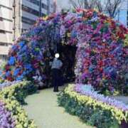 ヒメ日記 2026/03/16 18:48 投稿 神楽ゆあ ウルトラロイヤル