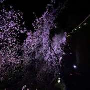 ヒメ日記 2026/04/03 21:39 投稿 アオイ coin d amour ～愛の片隅～