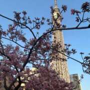 小枝くるみ 昨日のお礼や色々と… 五十路マダムエクスプレス船橋店(カサブランカグループ)