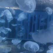 ヒメ日記 2026/04/06 21:30 投稿 かえで☆完全業界未経験♪ いちご倶楽部