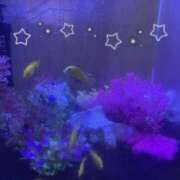 ヒメ日記 2026/06/02 22:16 投稿 かえで☆完全業界未経験♪ いちご倶楽部