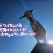 ヒメ日記 2026/04/18 12:49 投稿 あすか 西船巨乳ぽっちゃり　乳神さま
