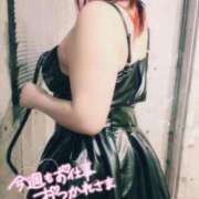 ヒメ日記 2026/04/24 22:21 投稿 あすか 西船巨乳ぽっちゃり　乳神さま