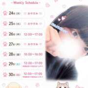 ヒメ日記 2026/08/23 21:56 投稿 ありす あふたーすくーる