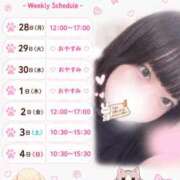ヒメ日記 2026/09/28 01:13 投稿 ありす あふたーすくーる
