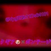 ヒメ日記 2026/04/08 18:13 投稿 愛染ゆずき＠一騎当千のアナリスト アナラードライ五反田店