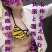 ヒメ日記 2026/04/29 13:25 投稿 愛染ゆずき＠一騎当千のアナリスト アナラードライ五反田店