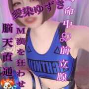 ヒメ日記 2026/05/11 01:56 投稿 愛染ゆずき＠一騎当千のアナリスト アナラードライ五反田店