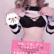 ヒメ日記 2026/03/17 19:04 投稿 りあ abc＋