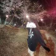 ヒメ日記 2026/03/20 17:42 投稿 りあ abc＋