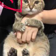 ヒメ日記 2026/05/10 04:07 投稿 森永つかさ 人妻ファンタジー