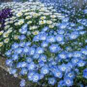 ヒメ日記 2026/03/28 15:03 投稿 野中あゆか 人妻ファンタジー