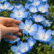 ヒメ日記 2026/04/13 13:11 投稿 野中あゆか 人妻ファンタジー