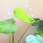 ヒメ日記 2026/04/06 07:06 投稿 北川みこ 人妻ファンタジー