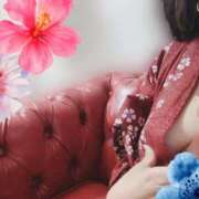 ヒメ日記 2026/03/24 13:09 投稿 なみ 成田人妻花壇