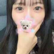 ヒメ日記 2026/04/18 10:16 投稿 テンカ エピソード(品川)