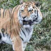 ヒメ日記 2026/04/29 15:01 投稿 りのあ 熟女の風俗最終章 相模原店