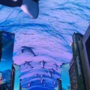 ヒメ日記 2026/04/10 12:20 投稿 りのあ 熟女の風俗最終章 町田店