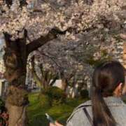 ヒメ日記 2026/04/14 07:45 投稿 るい 極楽城(ゴクラクジョウ)