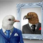 ヒメ日記 2026/01/16 13:29 投稿 ちづる ANNEX（アネックス）