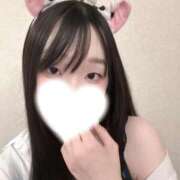 ヒメ日記 2026/05/19 15:10 投稿 すい 京都出張メンズエステChou Chou（シュシュ)