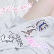 ヒメ日記 2026/03/31 23:21 投稿 なぎ 湯房 湯島御殿