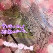 ヒメ日記 2026/04/08 22:57 投稿 なぎ 湯房 湯島御殿