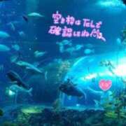 ヒメ日記 2026/09/08 11:48 投稿 なぎ 湯房 湯島御殿
