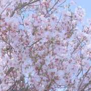 ヒメ日記 2026/03/29 14:20 投稿 ななこ セレブクエスト‐Kasukabe‐
