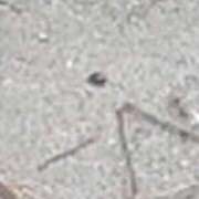 ヒメ日記 2025/04/01 11:23 投稿 はな 妻天 京橋店