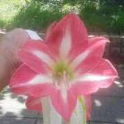 ヒメ日記 2025/05/20 11:09 投稿 はな 妻天 京橋店