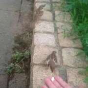 ヒメ日記 2025/07/10 13:44 投稿 はな 妻天 京橋店