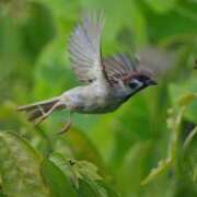ヒメ日記 2025/07/12 15:20 投稿 はな 妻天 京橋店