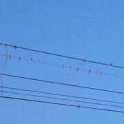 ヒメ日記 2026/02/13 08:42 投稿 はな 妻天 京橋店