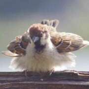 ヒメ日記 2026/02/13 13:26 投稿 はな 妻天 京橋店