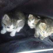 ヒメ日記 2026/02/22 08:44 投稿 はな 妻天 京橋店