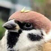 ヒメ日記 2026/03/01 14:28 投稿 はな 妻天 京橋店