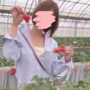 いろは 真ん中のお時間 奥鉄オクテツ神奈川店（デリヘル市場グループ）