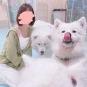 ヒメ日記 2026/04/20 12:57 投稿 いろは 奥鉄オクテツ神奈川店（デリヘル市場グループ）