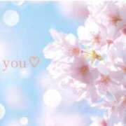 ヒメ日記 2026/04/21 14:29 投稿 いろは 奥鉄オクテツ神奈川店（デリヘル市場グループ）