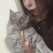 ヒメ日記 2026/03/17 13:38 投稿 藤〇あやめ Claris Tokyo～クラリス東京～