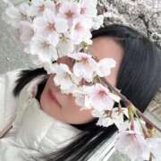 ヒメ日記 2026/04/09 19:31 投稿 ちえ♡視線を奪う圧巻のHカップ ラブチャンス(福岡)