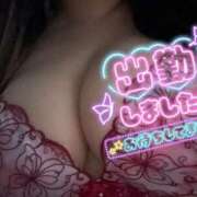 ヒメ日記 2026/03/17 12:24 投稿 まな ぽちゃLOVE(サンライズグループ)