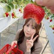 ヒメ日記 2026/04/13 18:19 投稿 コハク 川崎美女革命