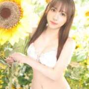 ヒメ日記 2026/07/25 15:38 投稿 コハク 川崎美女革命