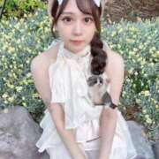 ヒメ日記 2026/08/20 21:13 投稿 コハク 川崎美女革命