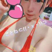 ヒメ日記 2026/04/06 11:28 投稿 コトネ バニーコレクション千葉栄町店